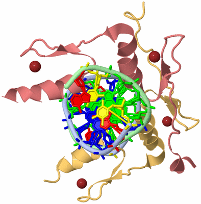 Image Biological Unit 1