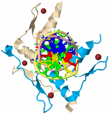 Image Biological Unit 2