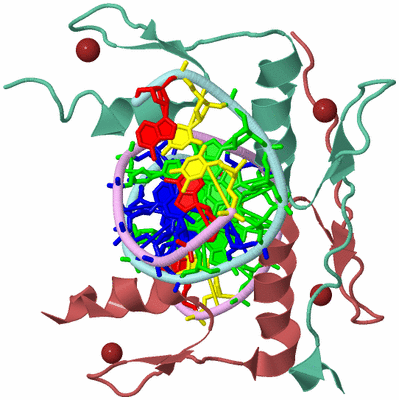 Image Biological Unit 3