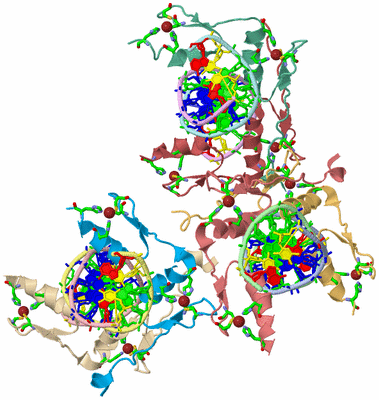 Image Asym. Unit - sites