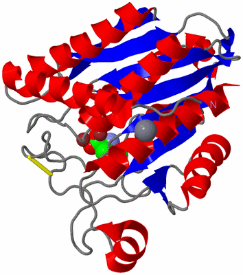 Image Asym./Biol. Unit