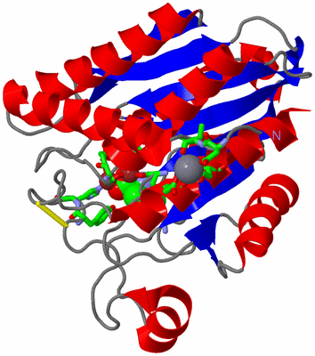 Image Asym./Biol. Unit - sites