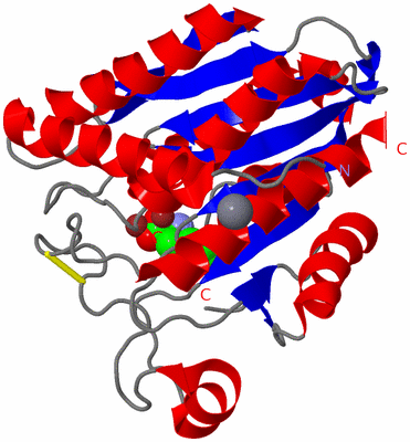 Image Asym./Biol. Unit