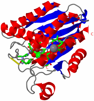Image Asym./Biol. Unit - sites