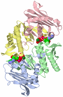 Image Asym./Biol. Unit