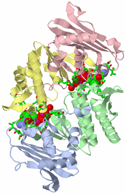 Image Asym./Biol. Unit - sites