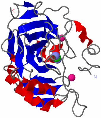 Image Asym./Biol. Unit