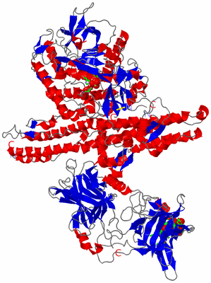 Image Asym./Biol. Unit - sites