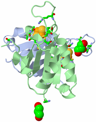 Image Biol. Unit 1 - sites