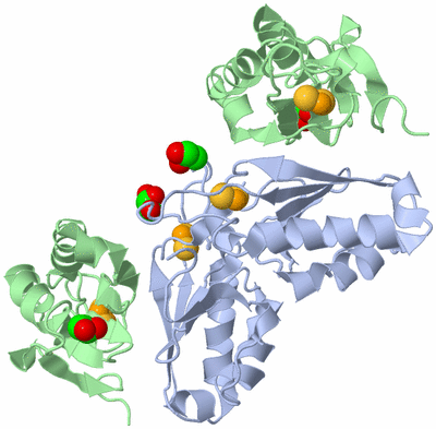 Image Biological Unit 2