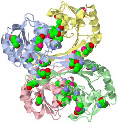 Image Asym./Biol. Unit