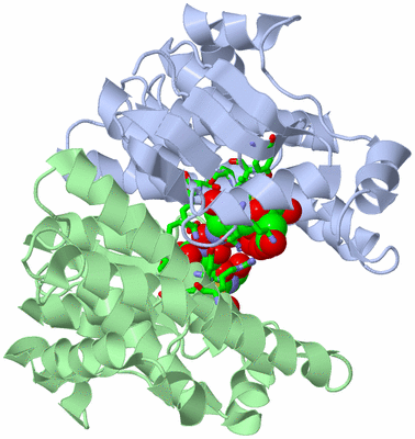 Image Asym./Biol. Unit - sites