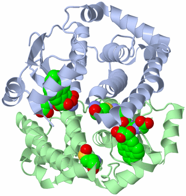 Image Asym./Biol. Unit