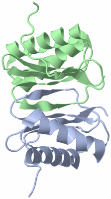 Image NMR Structure - model 1