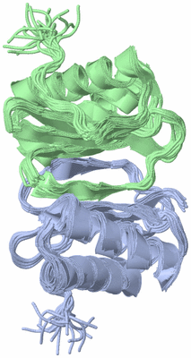 Image NMR Structure - all models