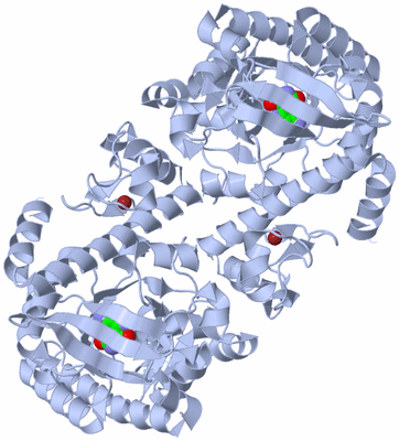 Image Biological Unit 2