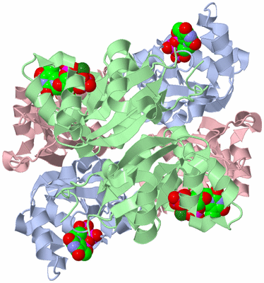 Image Biological Unit 1