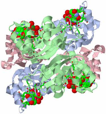 Image Biol. Unit 1 - sites