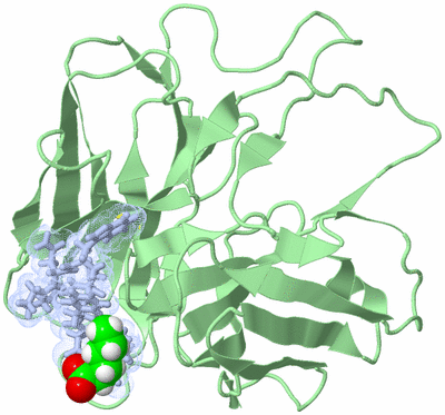 Image NMR Structure - model 1