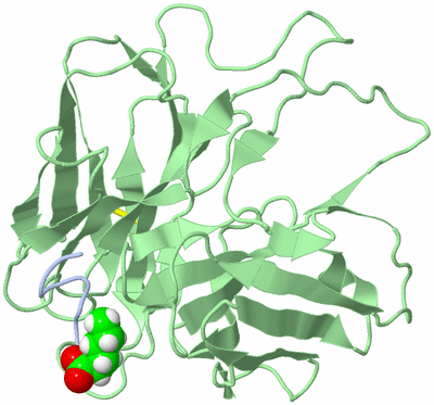 Image NMR Structure - all models