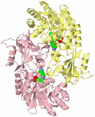 Image Biological Unit 2