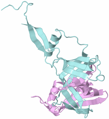 Image Biological Unit 3