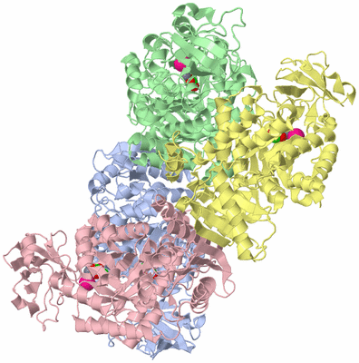 Image Biological Unit 1