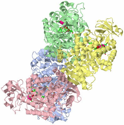 Image Biol. Unit 1 - sites