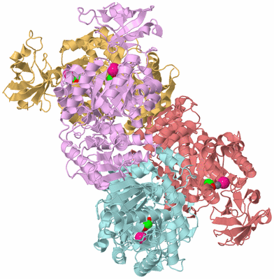 Image Biological Unit 2