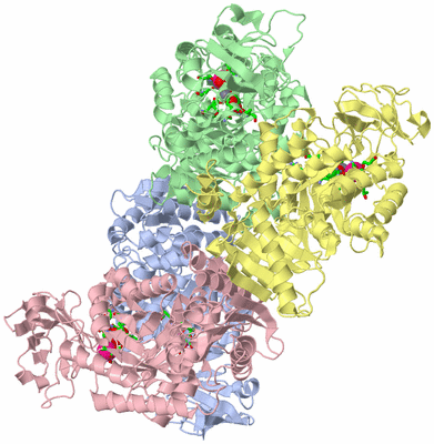 Image Biol. Unit 1 - sites