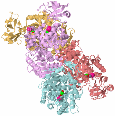 Image Biological Unit 2