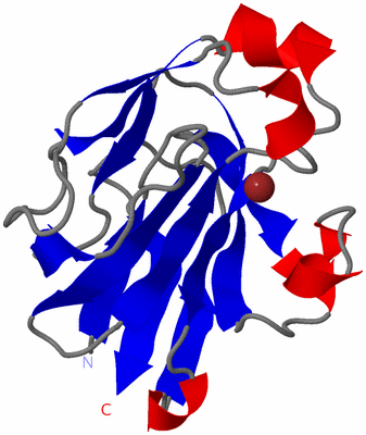 Image Asymmetric Unit