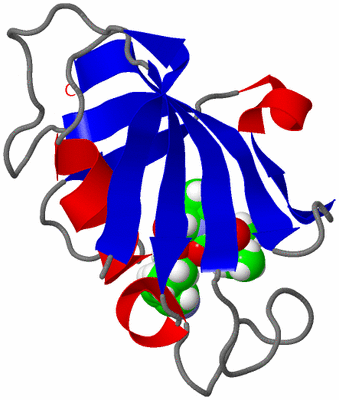 Image NMR Structure - model 1