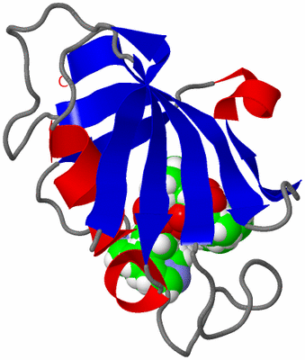 Image NMR Structure - all models