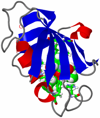 Image NMR Structure - model 1, sites