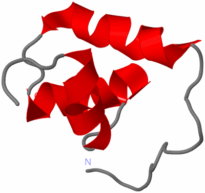 Image NMR Structure - model 1