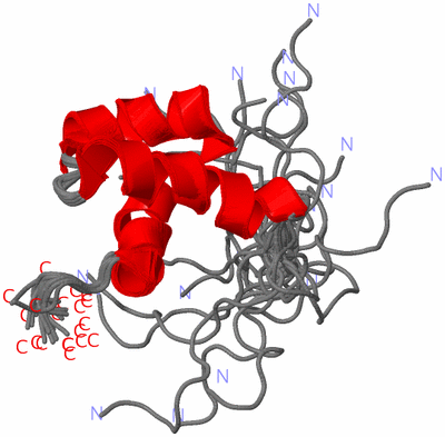 Image NMR Structure - all models