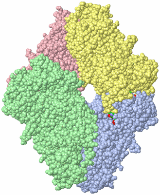 Image Asym./Biol. Unit - sites