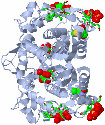 Image Biol. Unit 1 - sites