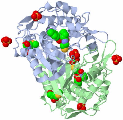 Image Asym./Biol. Unit