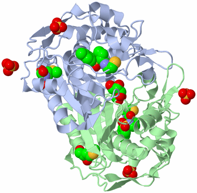 Image Asym./Biol. Unit