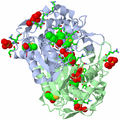 Image Asym./Biol. Unit - sites