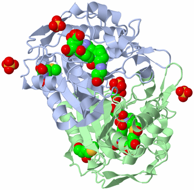 Image Asym./Biol. Unit