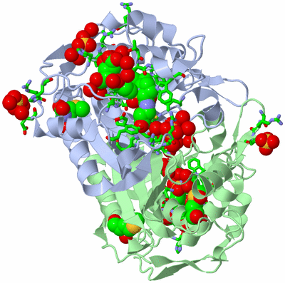 Image Asym./Biol. Unit - sites