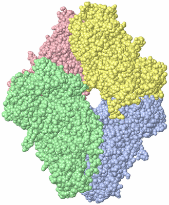 Image Asym./Biol. Unit