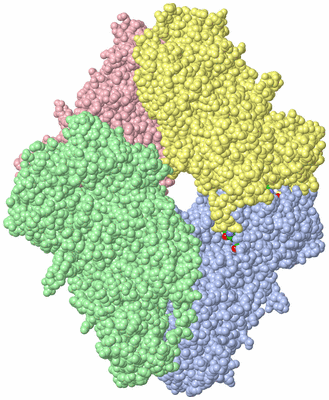 Image Asym./Biol. Unit - sites