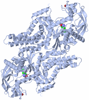 Image Biological Unit 1