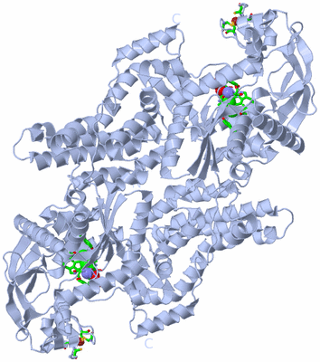 Image Biol. Unit 1 - sites