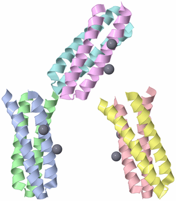 Image Asymmetric Unit