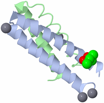 Image Asymmetric Unit